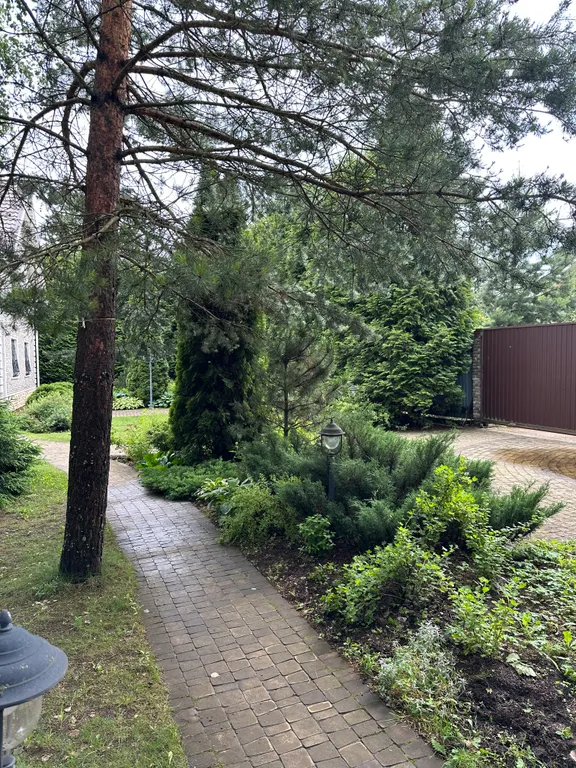 Шале с русской баней Релакс