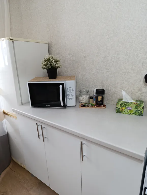 Однокомнатная квартира в центре города