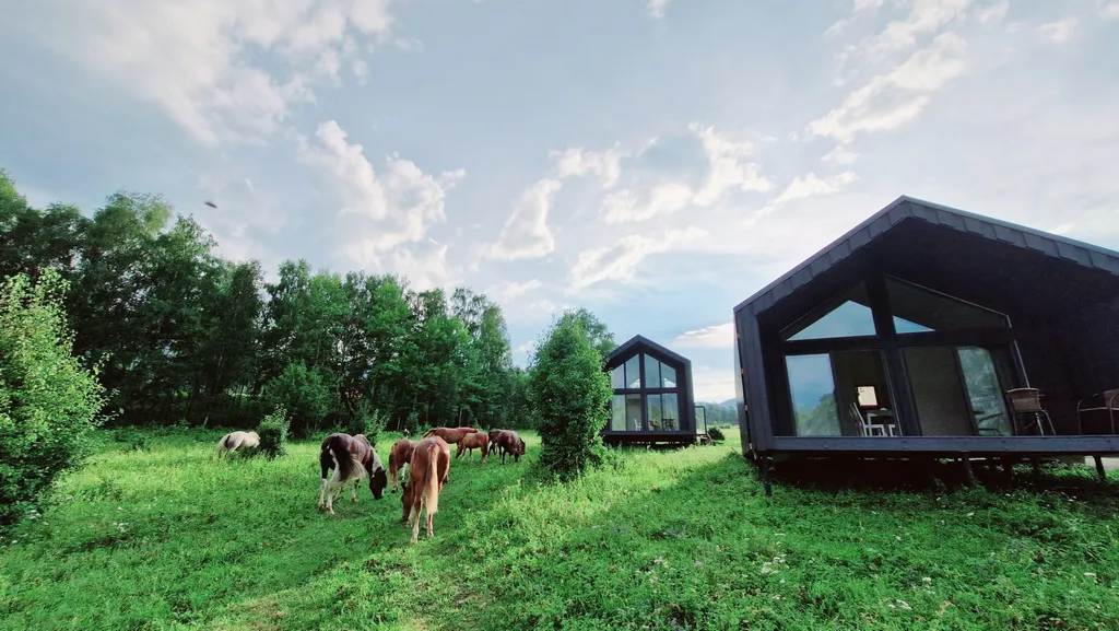 Дачи Бирюзовая подкова