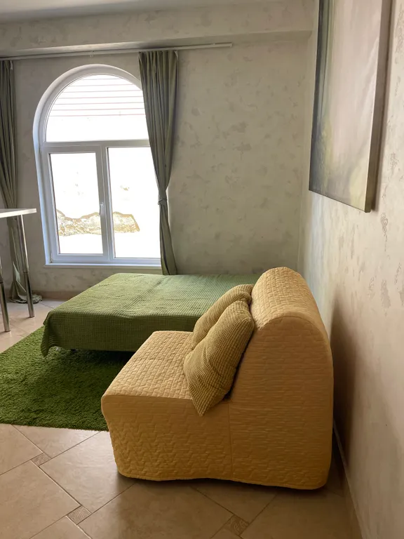 Квартира 1-комнатная Квартира — Сириус