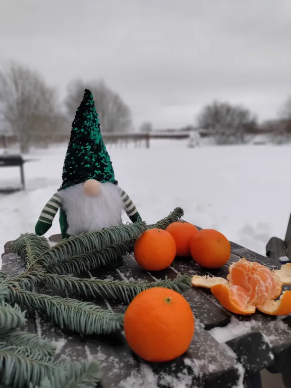 Дача Ласточка новый дом для вашего отдыха