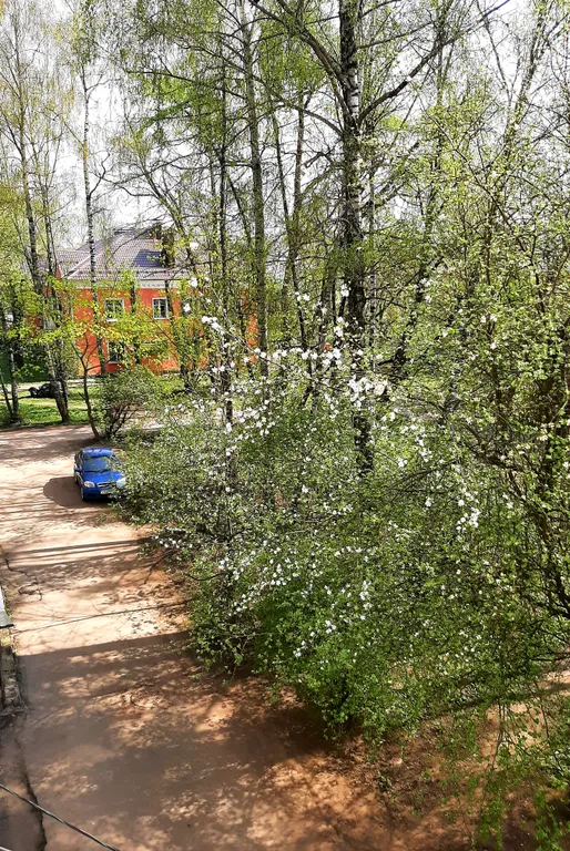 Квартира в историческом центре города