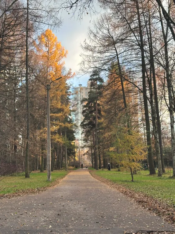 Квартира Современная, уютная 1-я квартира у метро Пионерская и Удельная — Санкт-Петербург