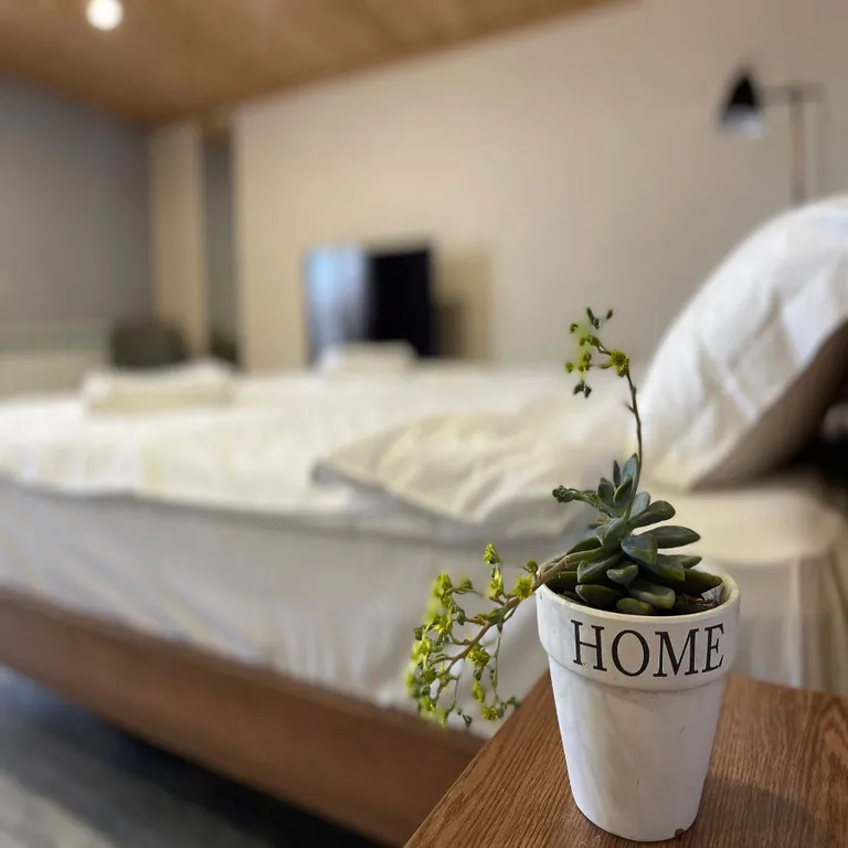 Апартаменты с балконом, с видом на город