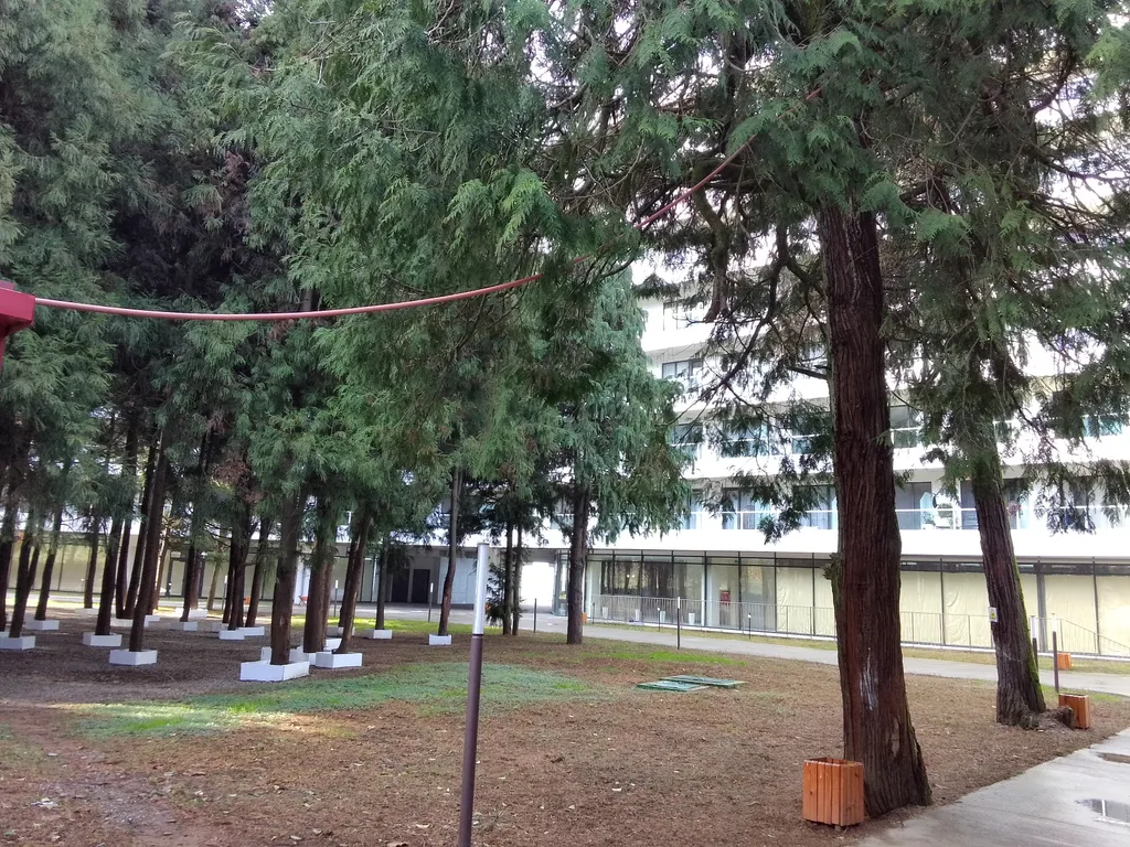 Квартира Роскошные апартаменты с прямым видом на море в Бамбо Бич Цихисдзири — Цихисдзири