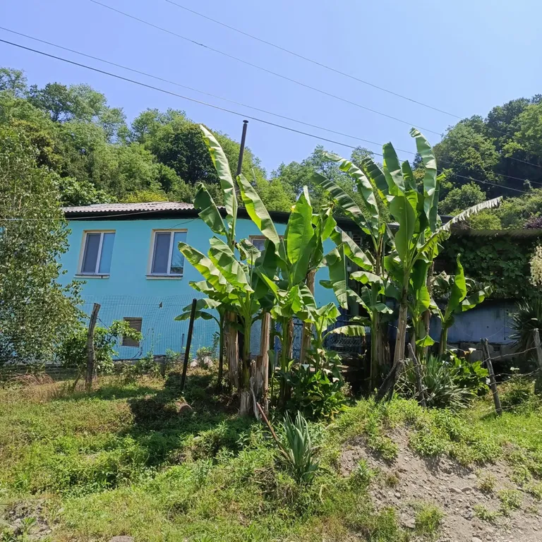 Комфортный дом с видом на горы