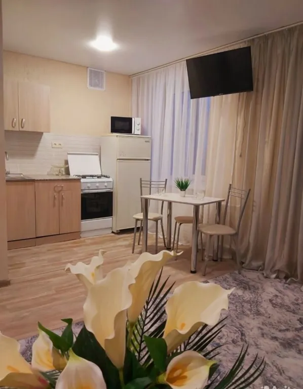 Уютная студия напротив больницы Миротворцева