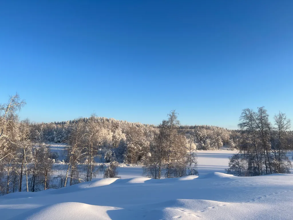 Большой дом с сауной и камином Озеро Лунное