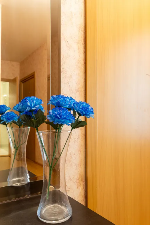 Евро трёхкомнатная квартира рядом с метро