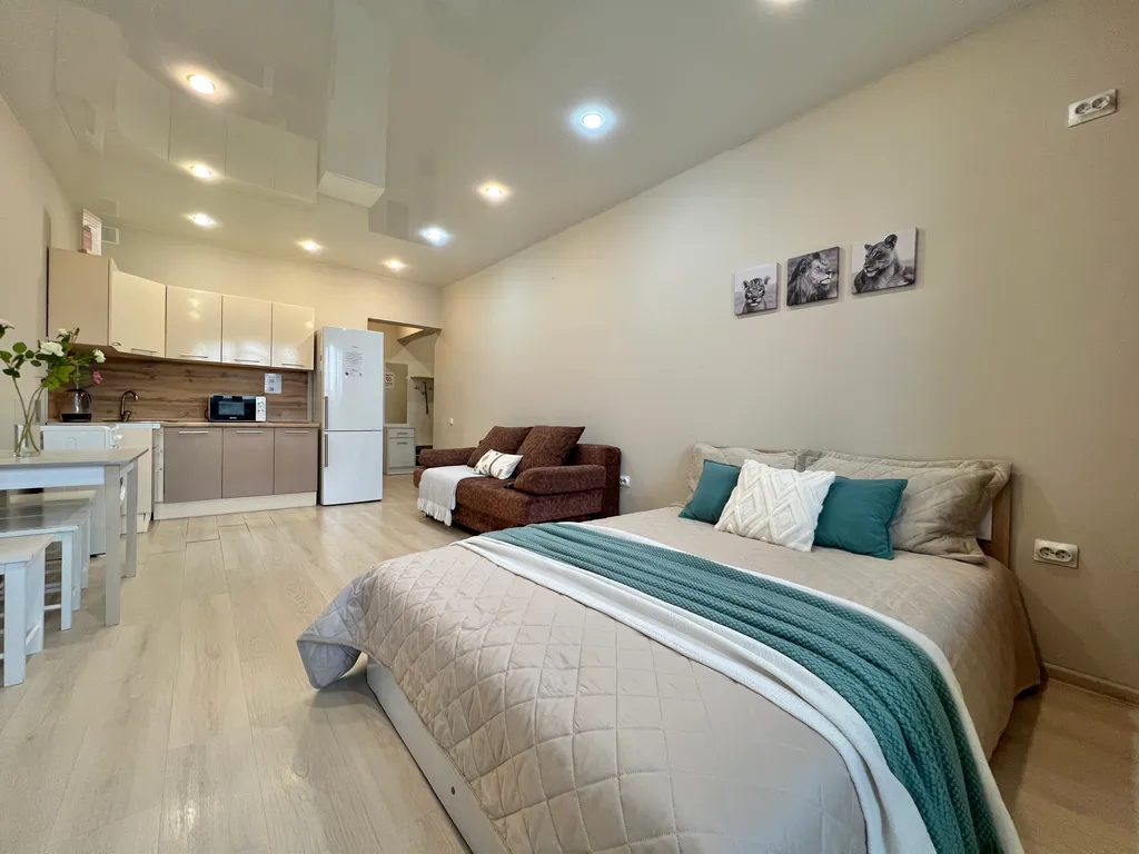 Комфортная студия в центре, не берем оплату за финальную уборку