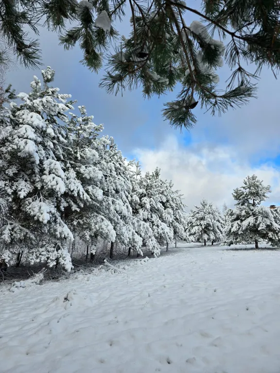 Комфортабельный 3-коттедж на 1 линии о.Селигер