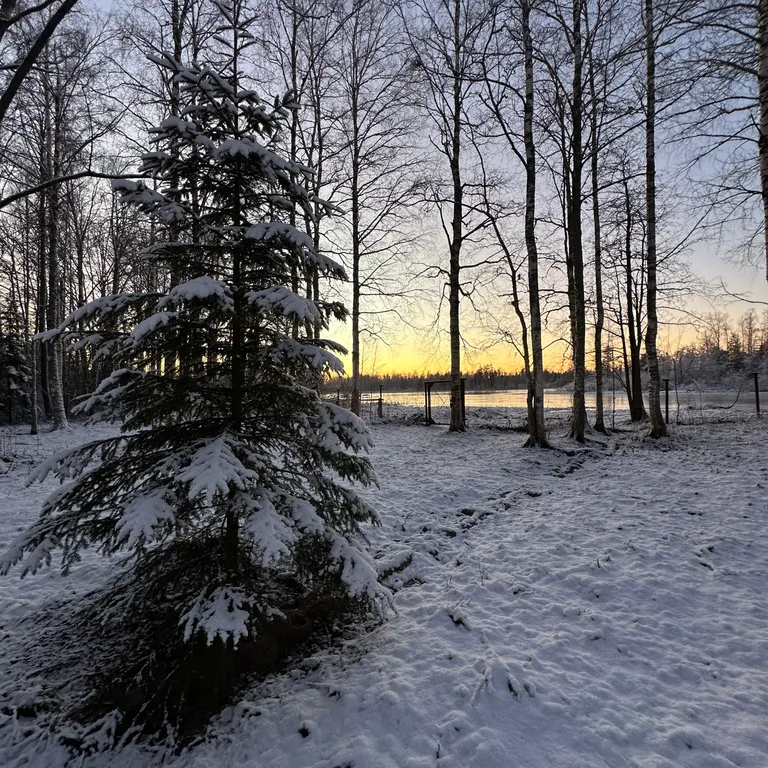 Коттедж Дом на озере Вуокса — Беличье