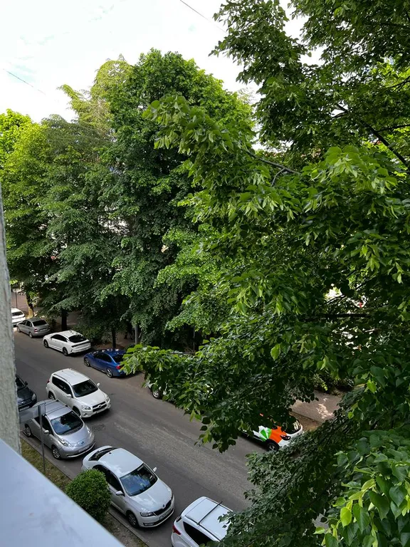 Апартаменты в самом центре Сочи