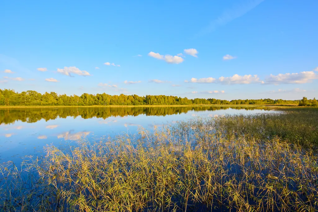 Плавдом Добрый мыс с баней на Онего