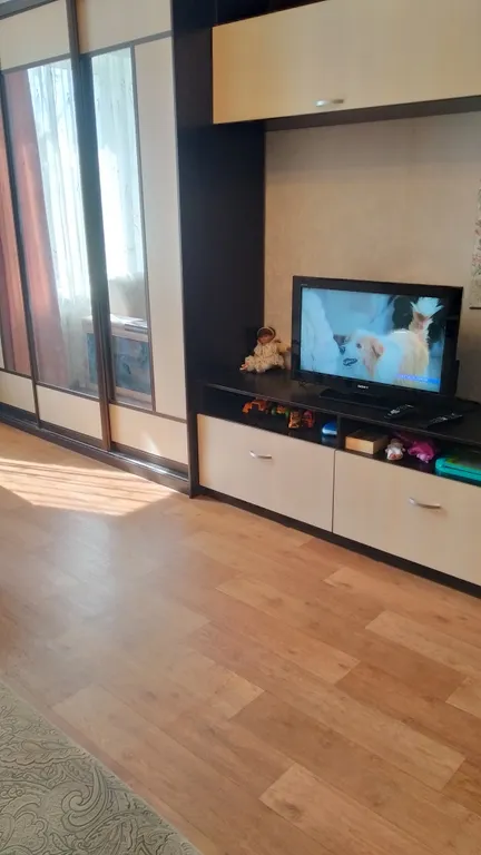 Большая однушечка со спальным местом на кухне рядом с центром