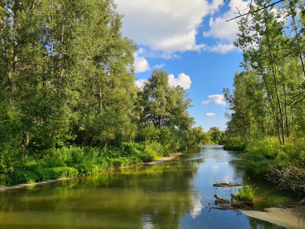 Дачи у Юрманки для душевного отдыха на природе