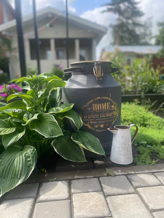 Дом из бревна