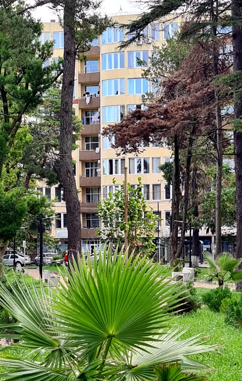 Уютная квартира у моря