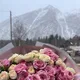 Кристина