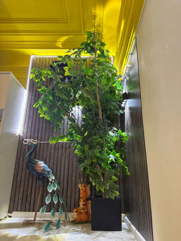 Квартира-студия в центре города