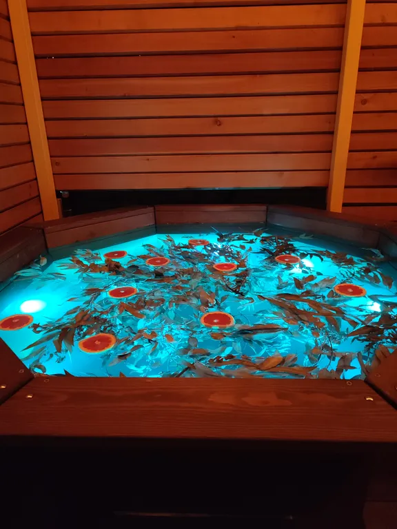 Коттедж Уютный дом с прямым видом на горы — Эсто-Садок