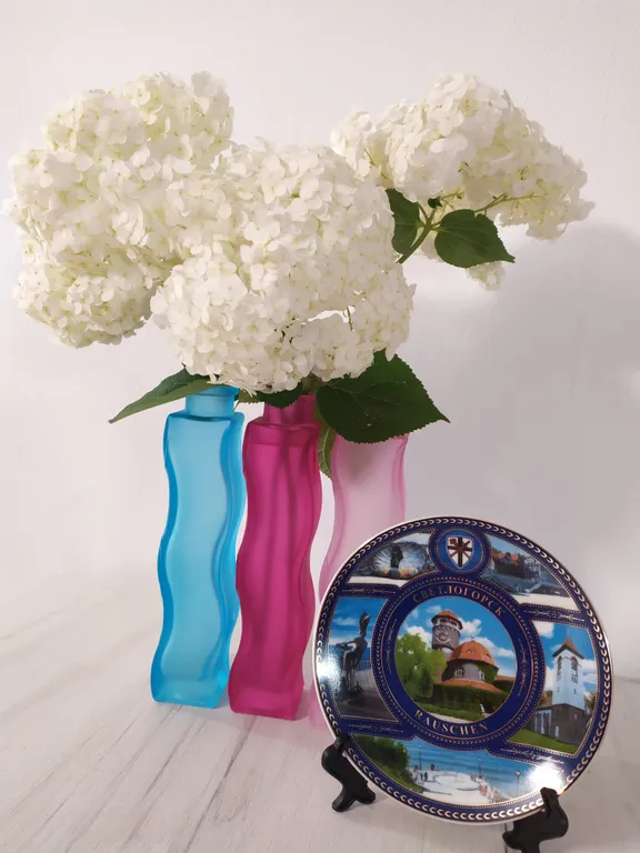 Бухта счастья