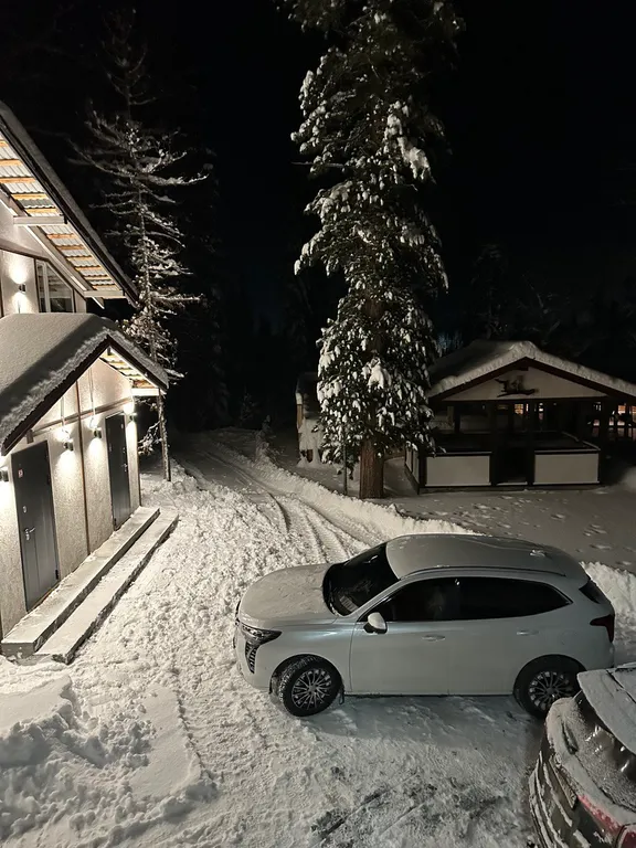 Гостевой двор Дом в кедрах