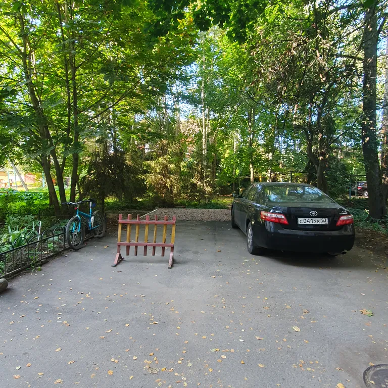 Просторная квартира в центре города с видом на парк