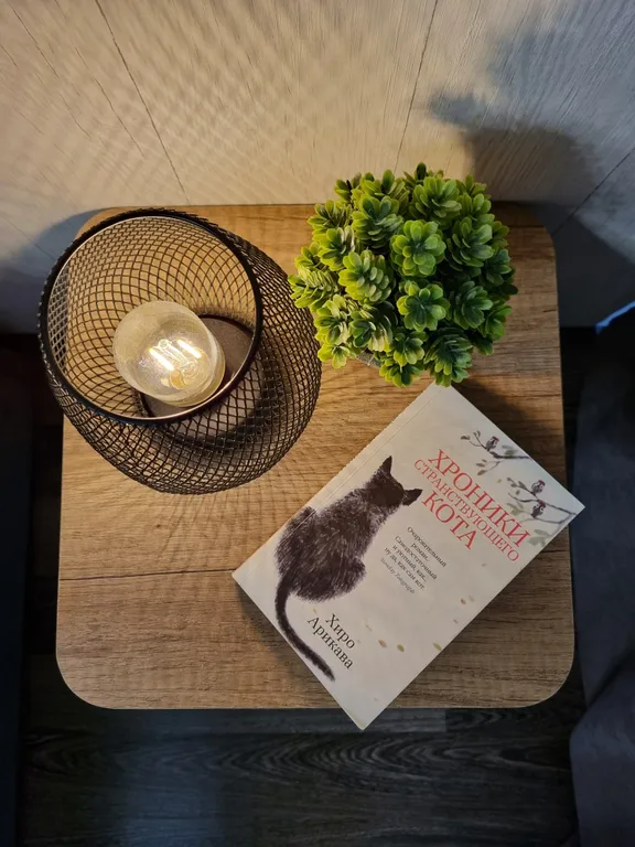 Рыжий Кот на Горке (2-х комнатная квартира в центре)