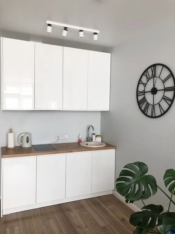 Студия с видом на озеро