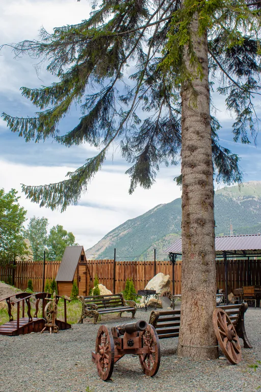 Отдых в шале с видом на горы