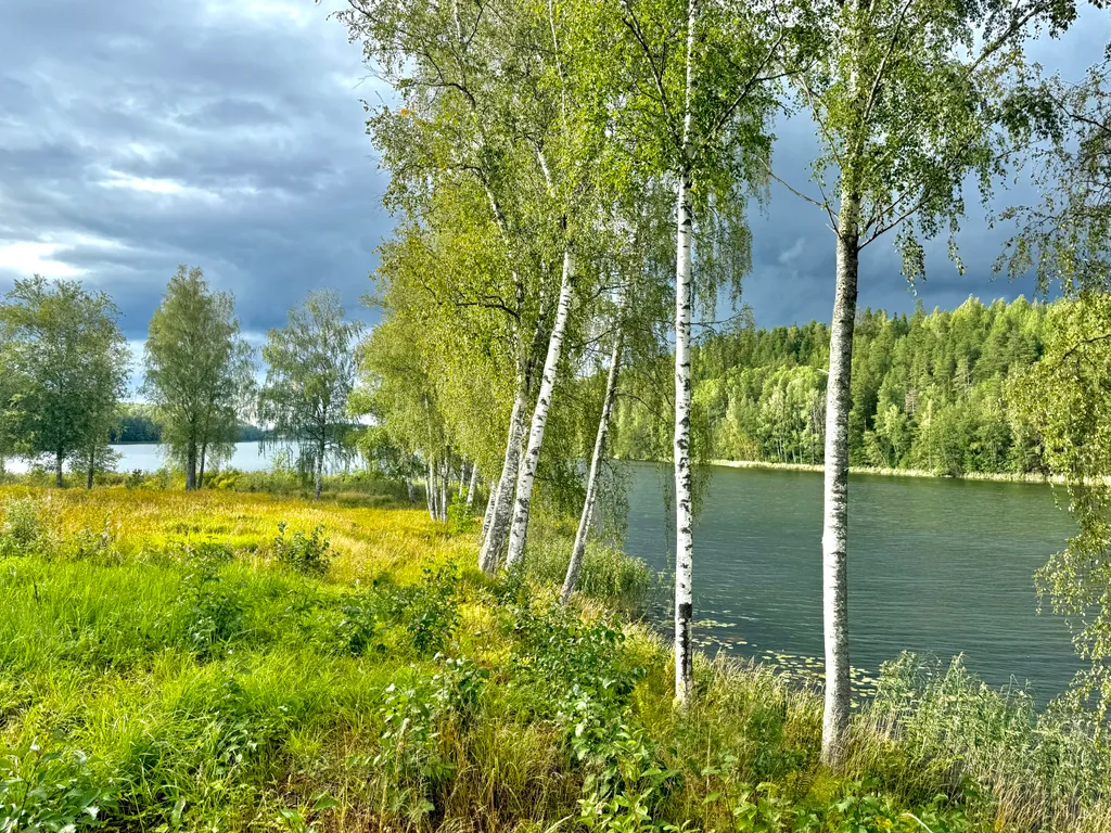 Домик в лесу с озером