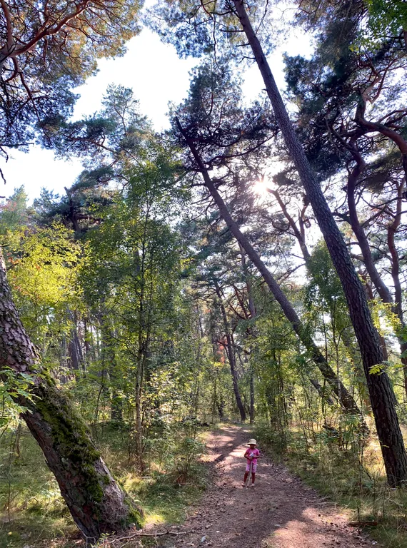 Квартира Квартира Апартамент Orange — Светлогорск