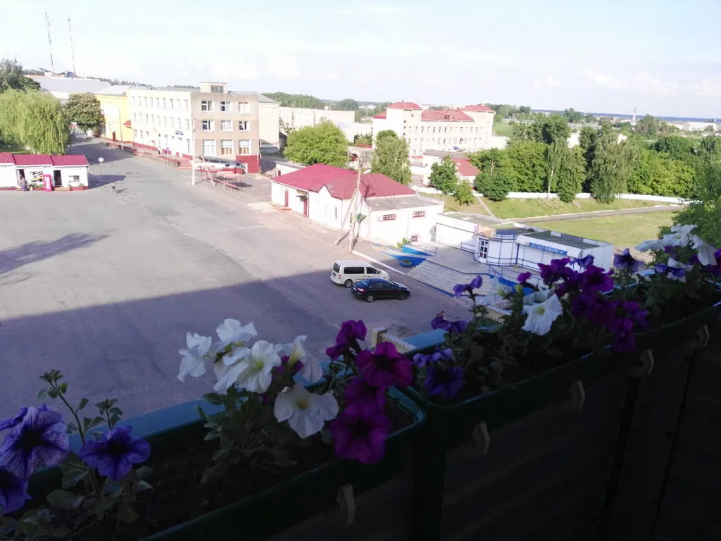 Апартамент-студия Зимняя Вишня