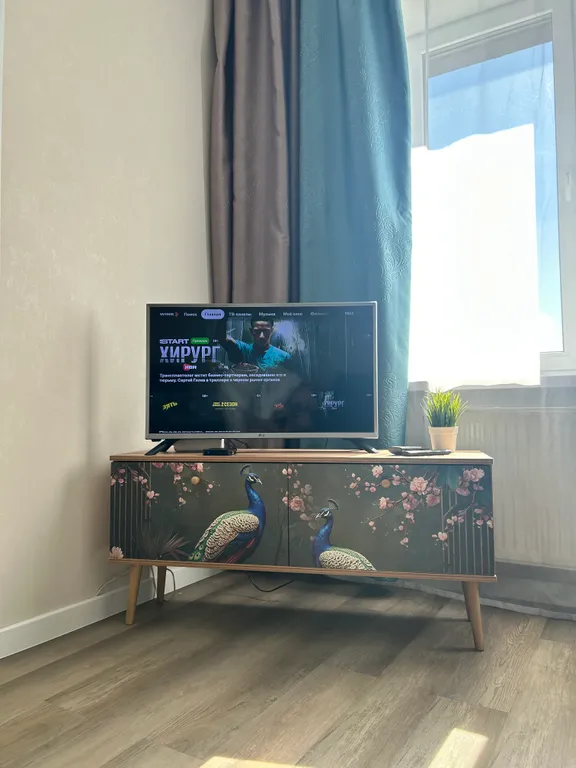 Уютная студия в центре города