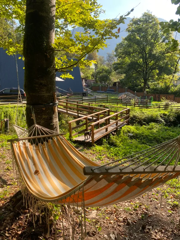 Уютный альфа домик в лесу