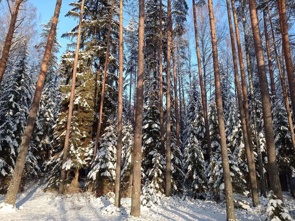 Коттедж Гостевой дом с русской баней и уличной купелью — Кириши