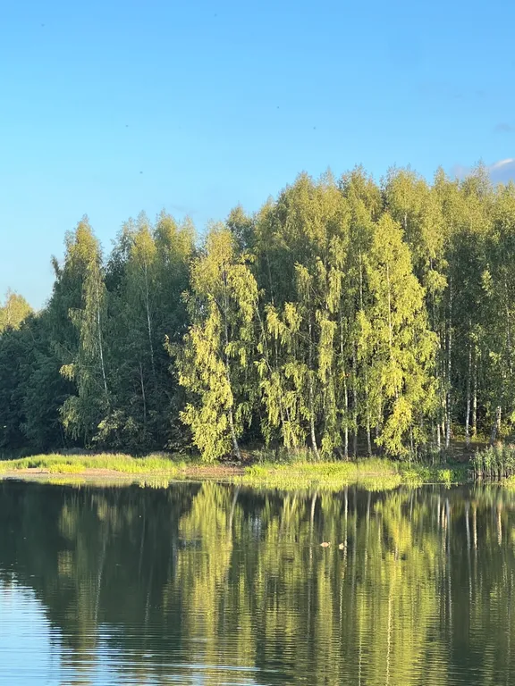 Загородный уютный дом для семейного отдыха