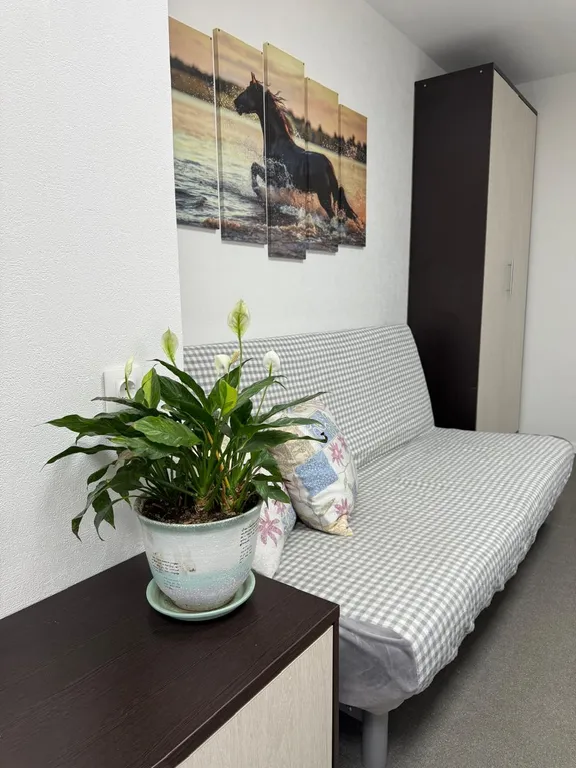 Квартира с отдельным входом — аренда посуточно в Луга