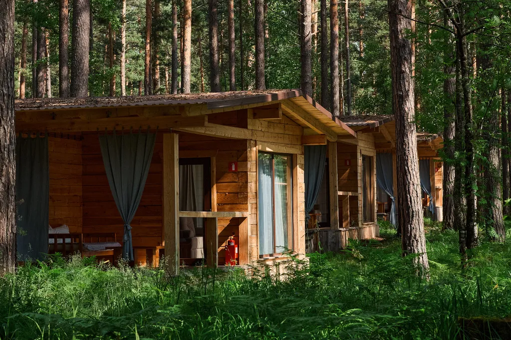 Кедровый дом - территория Детокс