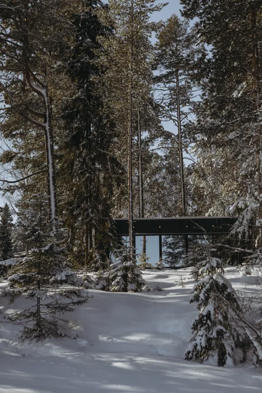 Дом в Карелии с видом на сосновый лес