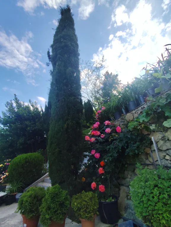 Уютный двухкомнатный домик в райском саду с видом на море