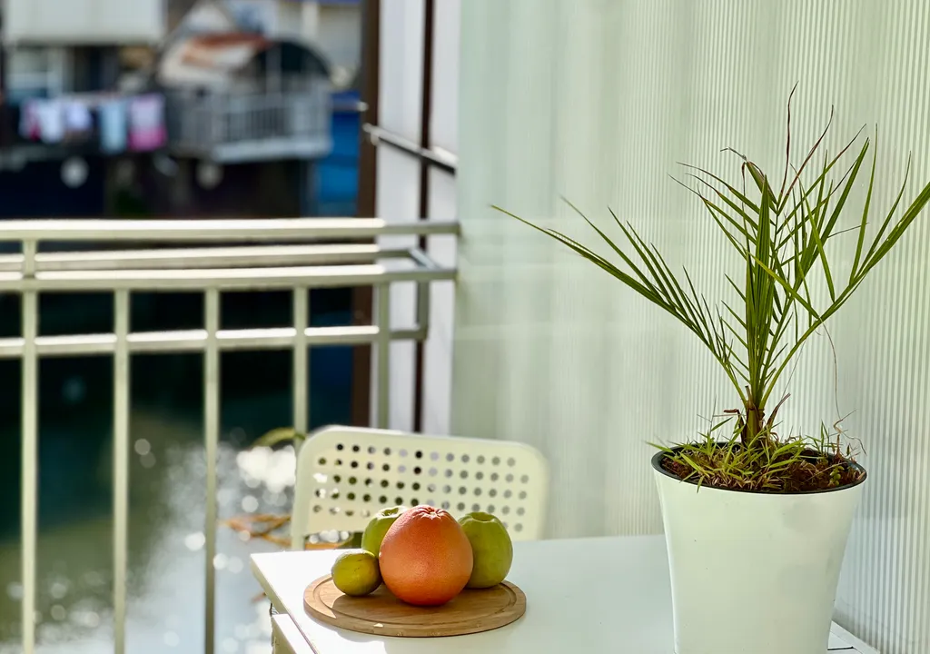 Эллинг у моря