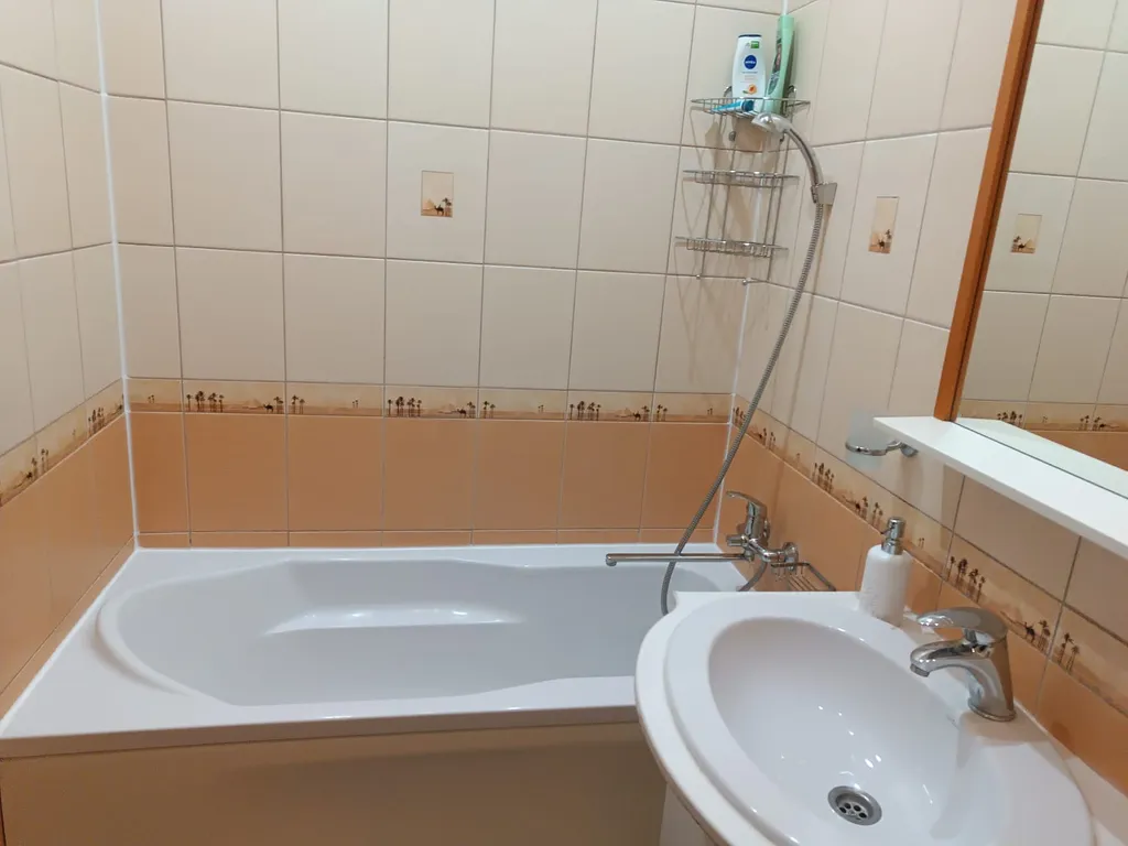 Квартира 1-комнатная квартира в самом центре города, возле Музея Мирового океана — Калининград