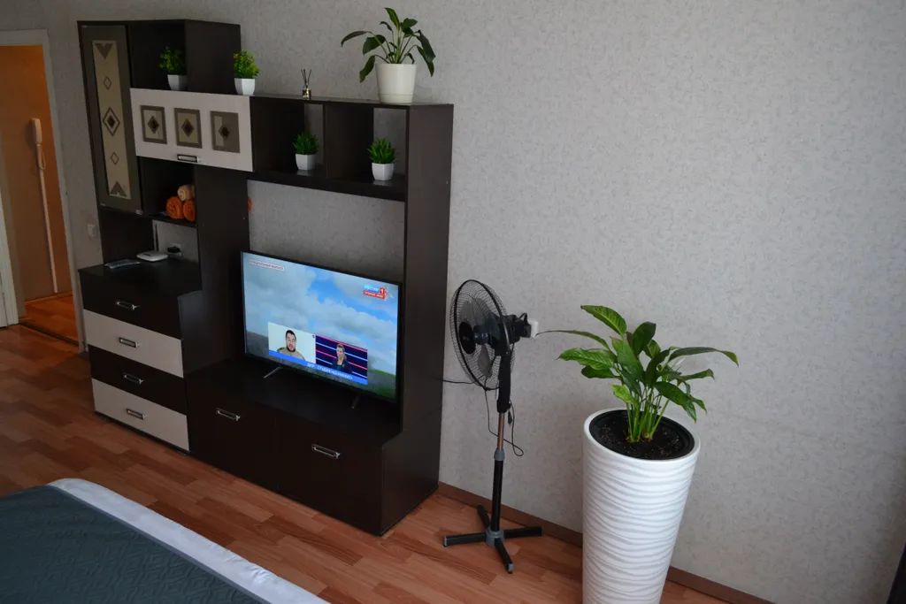 1 комнатная квартира