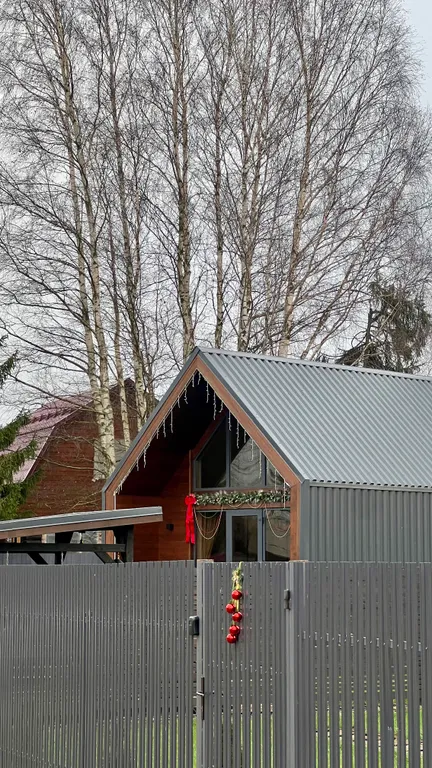 Zavidovo River house