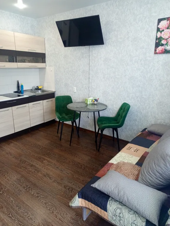 Квартира На берегу красиво — аренда посуточно в Новосибирск