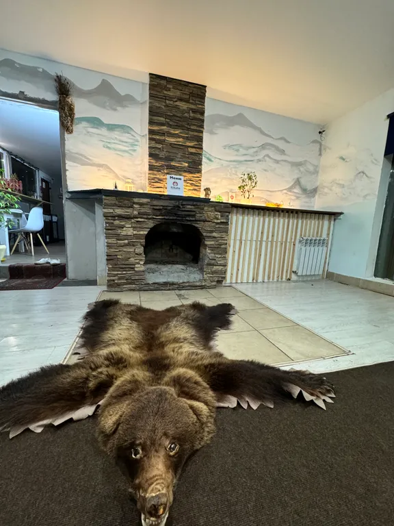 Большой дом в лесу