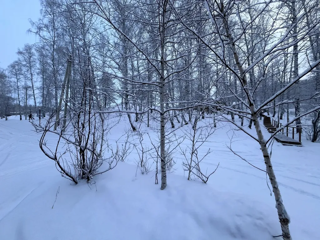 Уютное шале на природе в экопарке