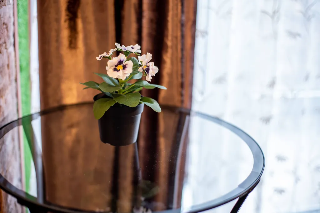 Квартира в старинном особняке